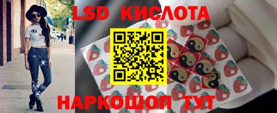 СК Абинск